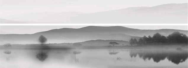 砼行大家 砼行大家