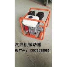汽油机振动器 汽油机振动棒 ZN-50附着式振动器