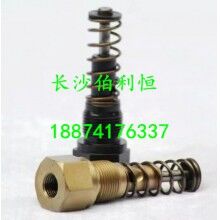 仕高玛搅拌站润滑油泵配件润滑油泵泵芯/注油