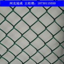 勾花网护栏网_勾花网诚信商家安平冠成